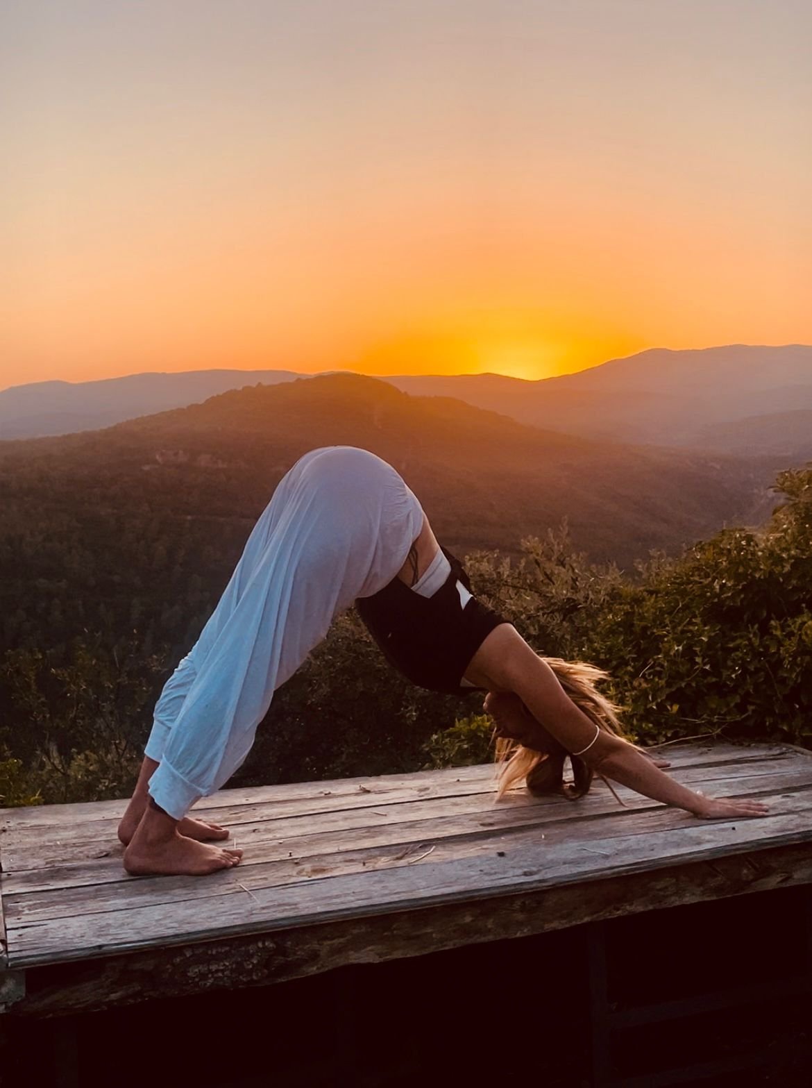 adho mukaha svanasana sunset